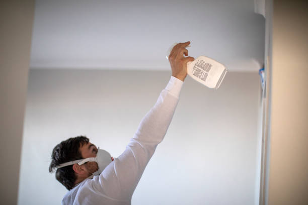 Best Commercial Mold Removal  in Show Low, AZ