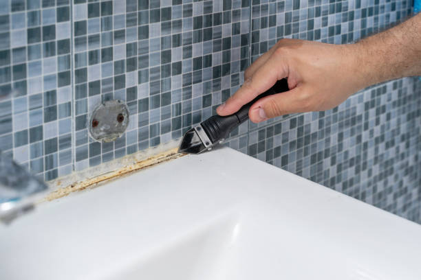 Best Office Mold Removal Services  in Show Low, AZ